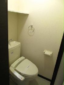 Toilet. Also it comes with a storage rack! 