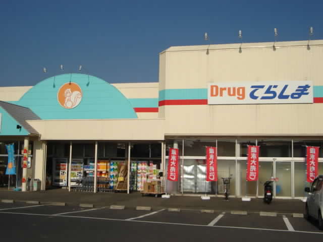 Dorakkusutoa. Drag Terashima Ishioka Suginami shop 721m until (drugstore)