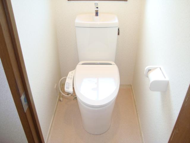 Toilet. Old toilet is removed, We have to replace the toilet with a new one. Of course, it is with a bidet