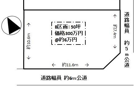 Compartment figure. Land price 3 million yen, Land area 165.33 sq m