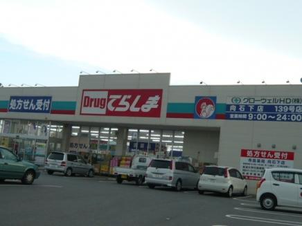 Drug store. To drag Terashima Mukoishige shop 3232m