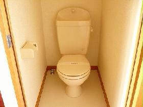 Toilet. There is a shelf in the upper. 