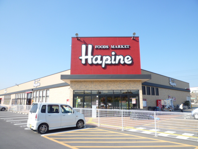 Supermarket. Foods Market Hapine Shitte store up to (super) 588m