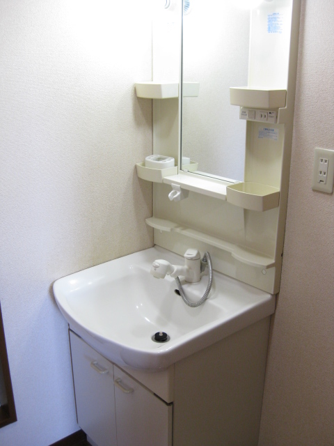 Washroom. Shampoo dresser! 