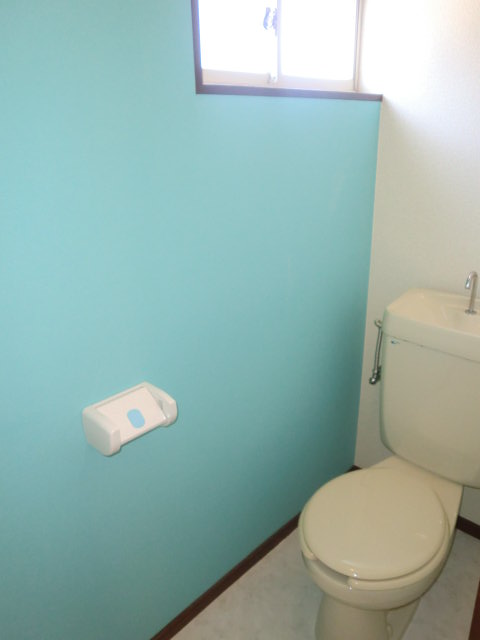 Toilet. One side color cross specification