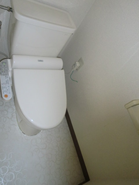 Toilet. New Woshureto