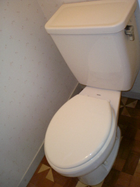 Toilet