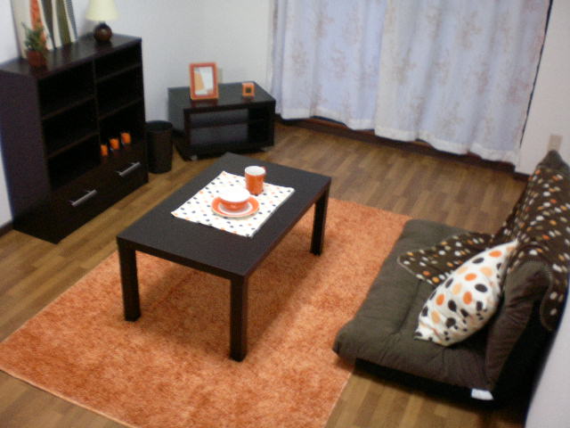 Living and room. Model room specification