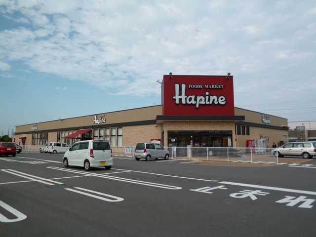 Supermarket. Foods Market Hapine Shitte store up to (super) 80m