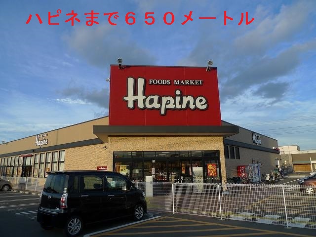 Supermarket. Hapine until the (super) 650m