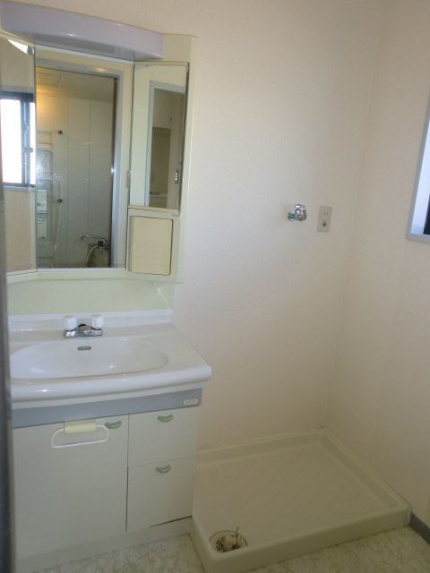Washroom. Is a renovation plan to wash basin (with shampoo dresser)