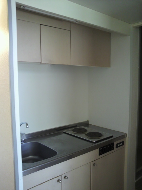 Kitchen. Electric stove with kitchen