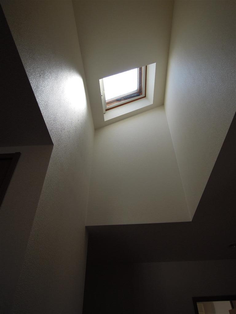 Other introspection. 2nd floor hall skylight
