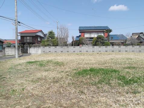 Local land photo