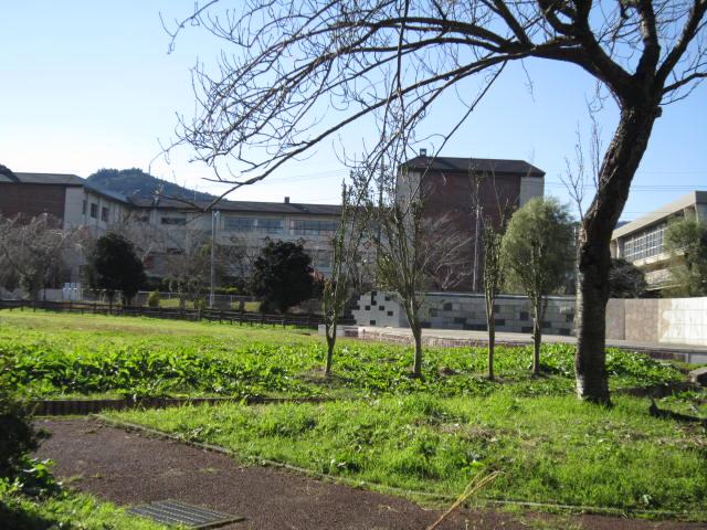 Primary school. Iwama first elementary school to 200m