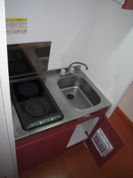 Kitchen. Electric stove with kitchen