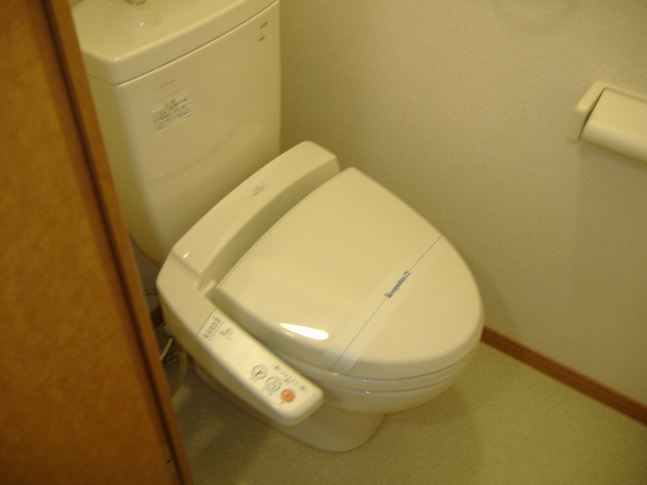 Other. With warm water washing toilet seat