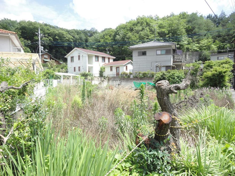 Local land photo