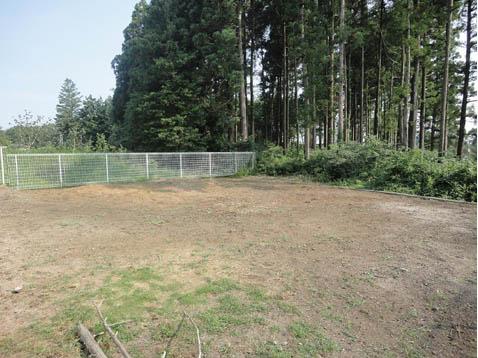 Local land photo