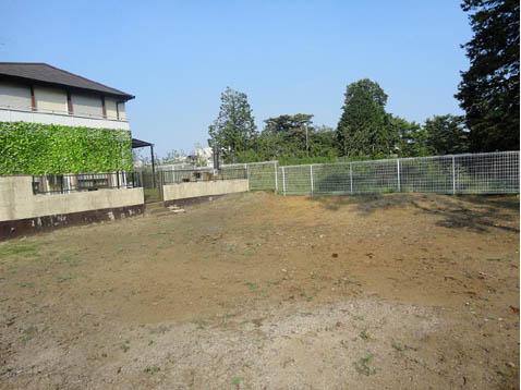 Local land photo