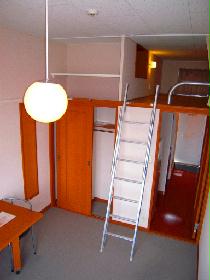 Living and room. Lofted rooms