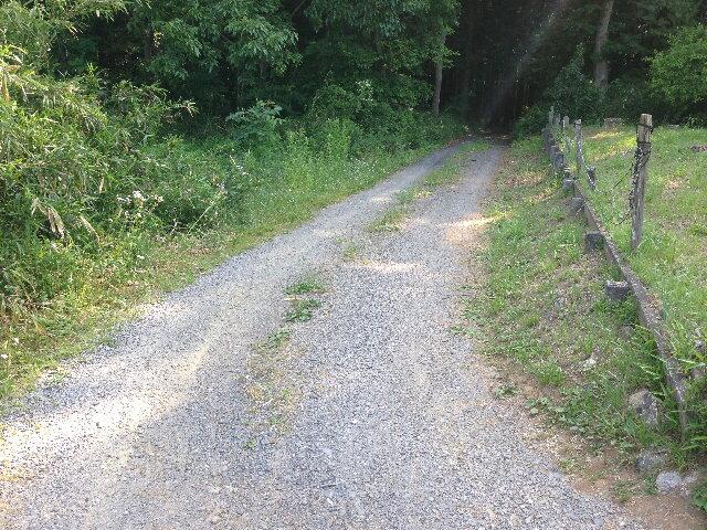 Local photos, including front road
