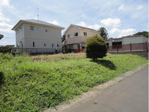 Local land photo