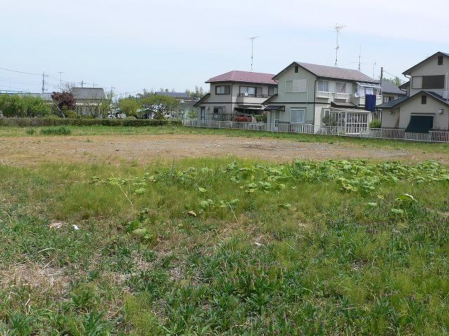 Local land photo