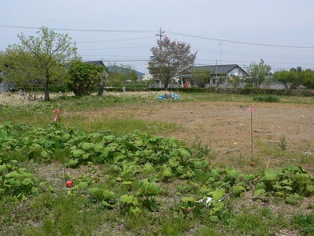 Local land photo
