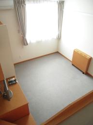 Living and room. It is the carpet of the room