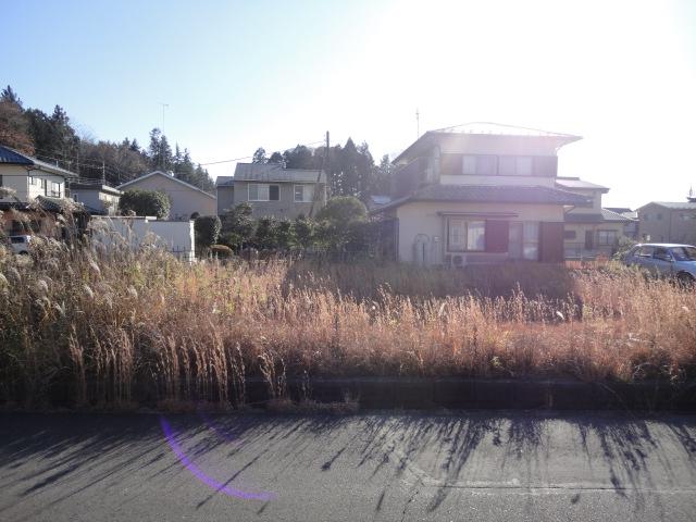 Local land photo