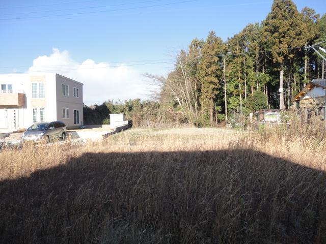 Local land photo