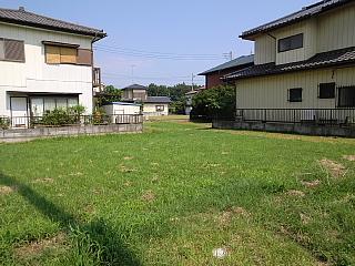 Local land photo