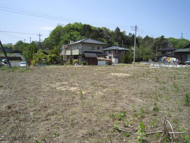 Local land photo