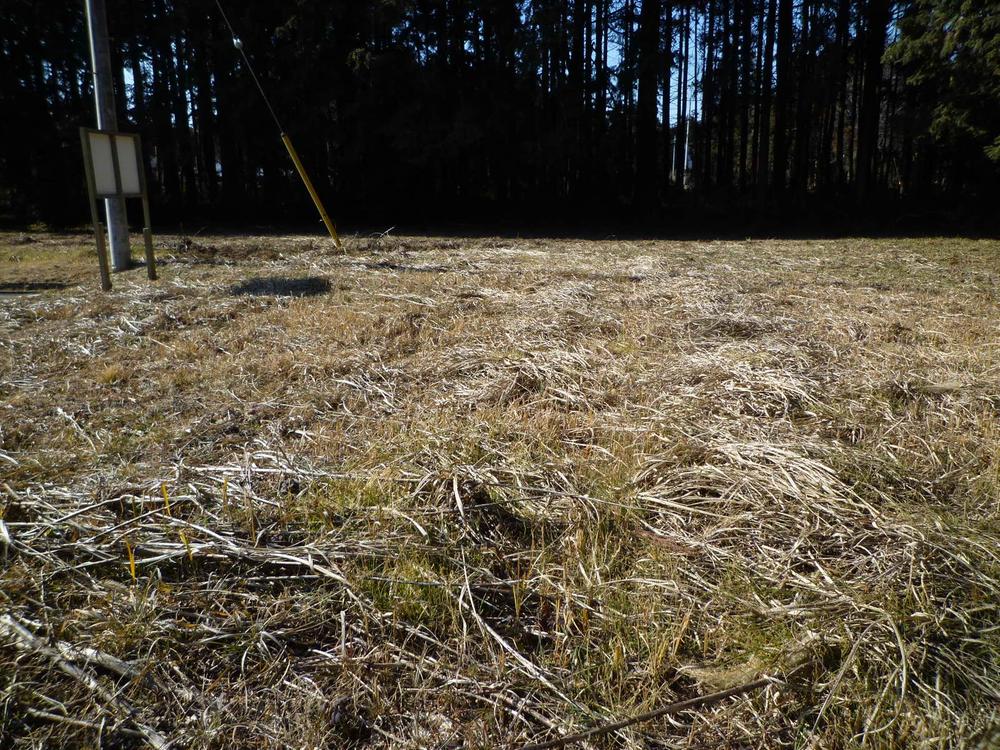 Local land photo