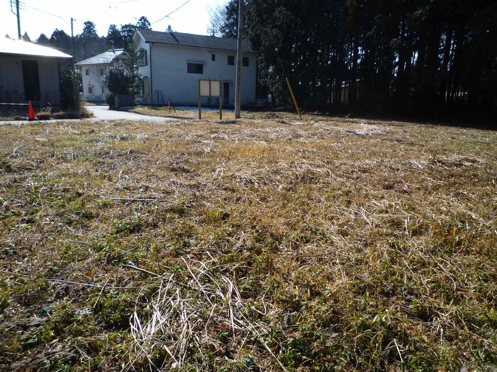 Local land photo