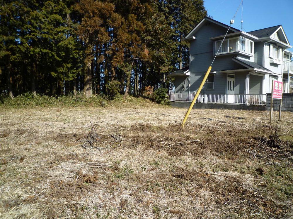 Local land photo