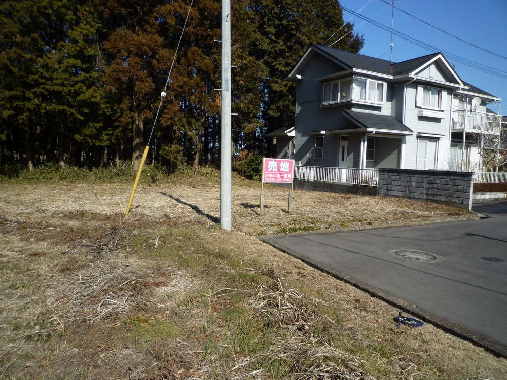 Local land photo