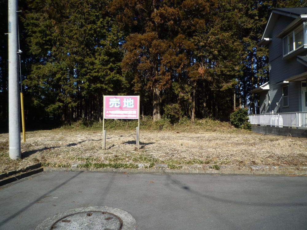 Local land photo