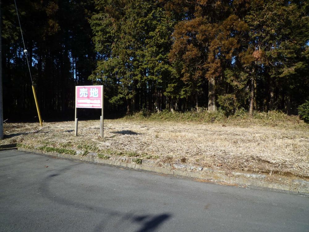 Local land photo
