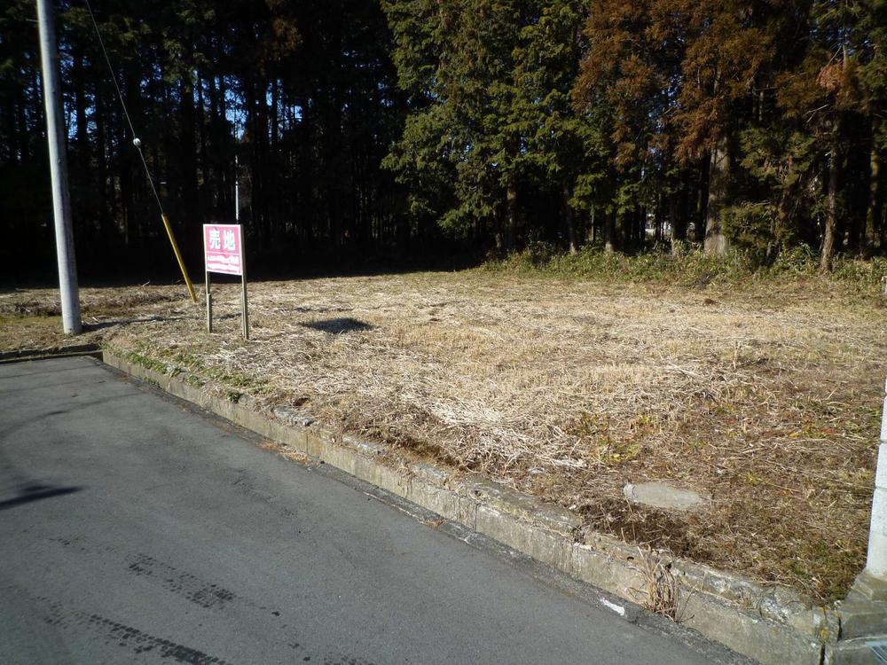 Local land photo