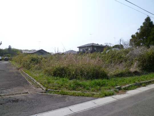 Local land photo. Site appearance (1)