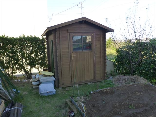 Garden. It is with a stylish shed