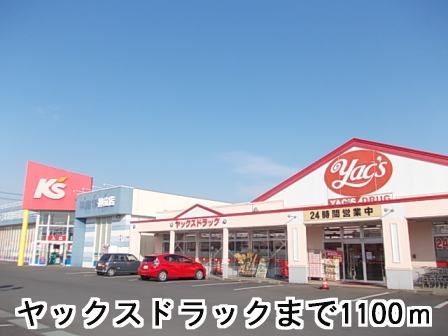 Dorakkusutoa. Yakkusu 1100m to drag (drugstore)