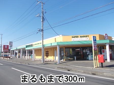 Supermarket. 300m to Marumo (super)