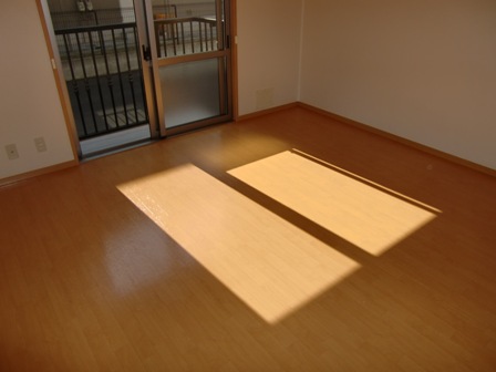 Other. Western style room