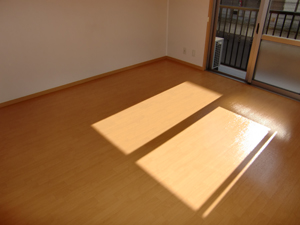 Living and room. Western-style 8.3 Pledge
