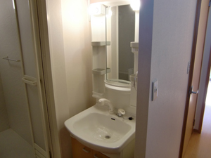 Washroom. Shampoo dresser