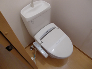 Toilet. Bidet
