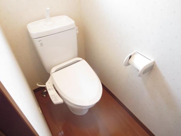 Toilet. It will be on the second floor toilet. It was replaced the toilet seat to the hot-water cleaning.